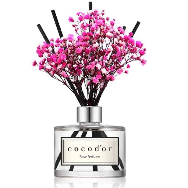 Cocod'or Preserved Real Flower Reed Diffuser