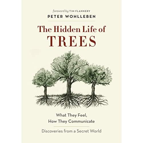 The Hidden Life of Trees: What They Feel, How They Communicate