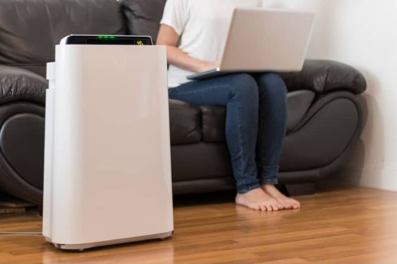 The Best Smart Air Purifiers For 2022